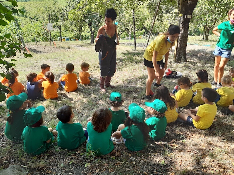 Bambini in fattoria didattica