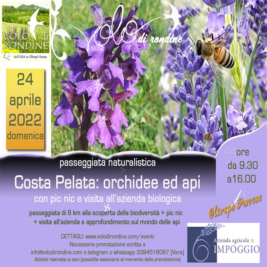 gita orchidee 24 aprile 2022