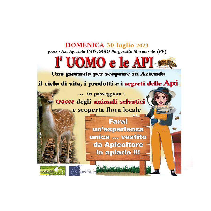 3°edizione l'Uomo e le Api