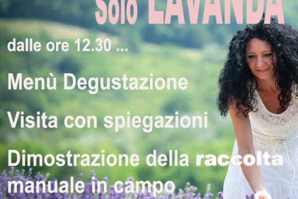 evento lavanda 25 giugno