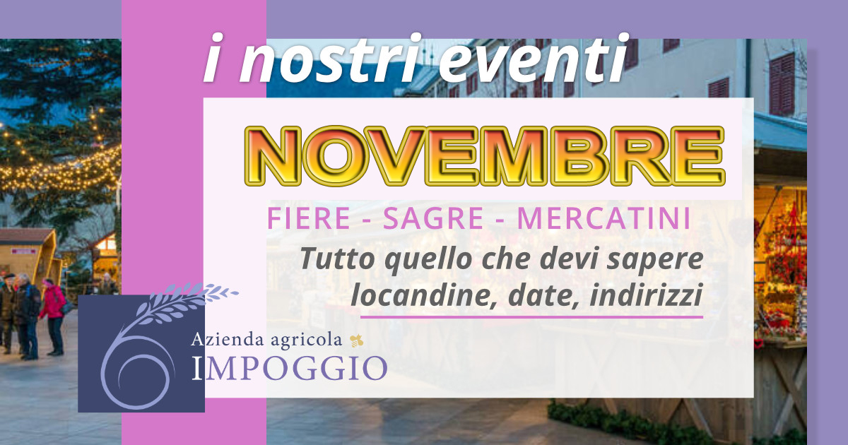 eventi novembre 2023