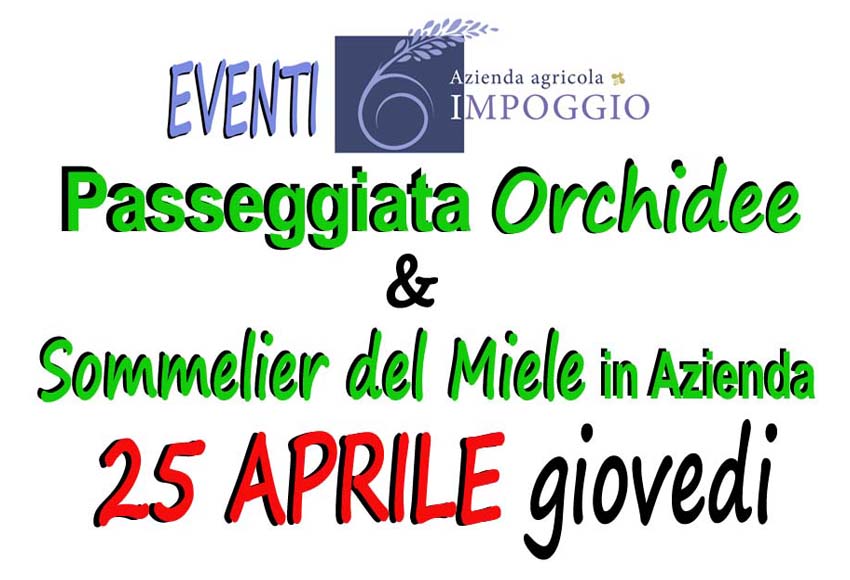 copertina evento 25 aprile
