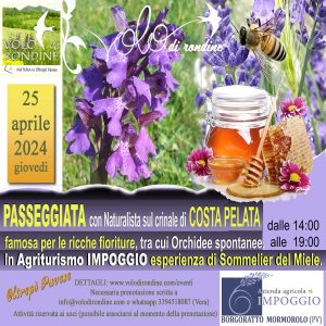 locandina evento 25 aprile 2024