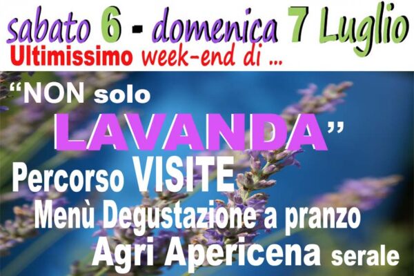 Eventi Lavanda 6-7 luglio 2024