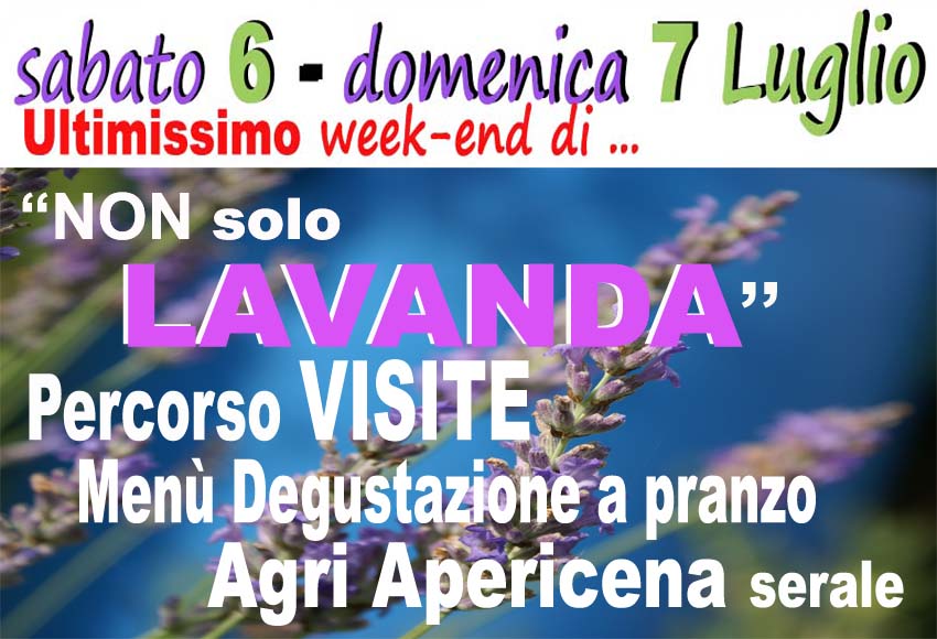 Eventi Lavanda 6-7 luglio 2024