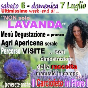 Eventi Lavanda 6-7 luglio 2024 locandina