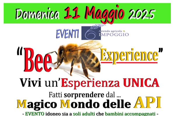 Evento Bee experience 11.05.25