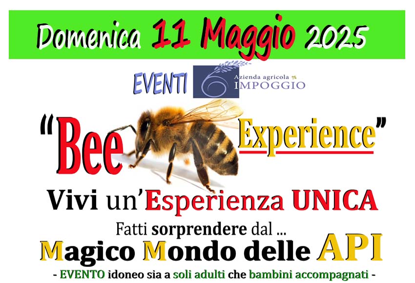 Evento Bee experience 11.05.25