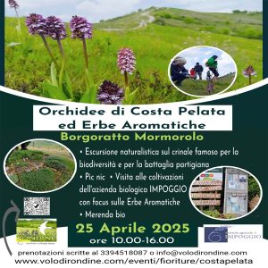 orchidee di costa pelata evento 25 aprile 2025