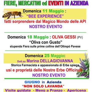 calendario eventi maggio 2025
