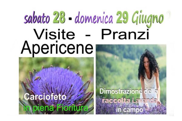 locandina evento lavanda 28 e 29 giugno 2025.