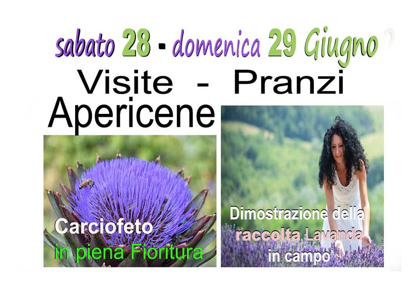 locandina evento lavanda 28 e 29 giugno 2025.