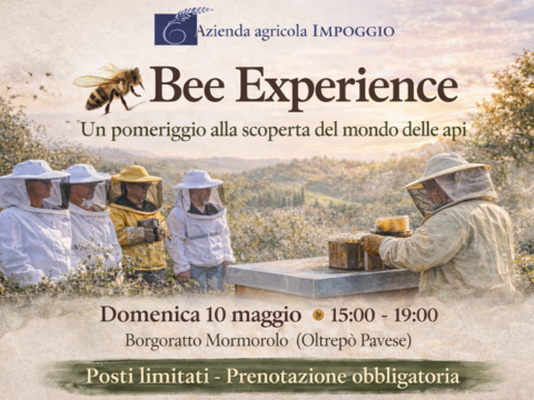 Bee Experience – Il meraviglioso mondo delle api