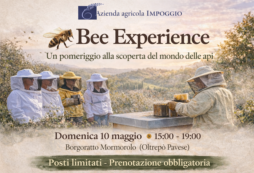Locandina Evento Bee Experience 10 maggio 2026