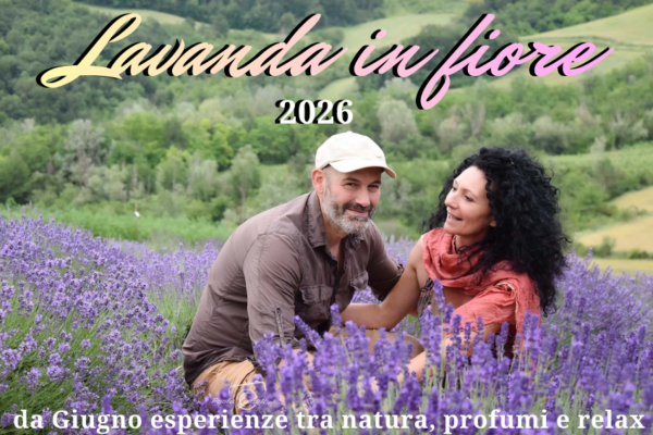 Lavanda Azienda agricola Impoggio 2026