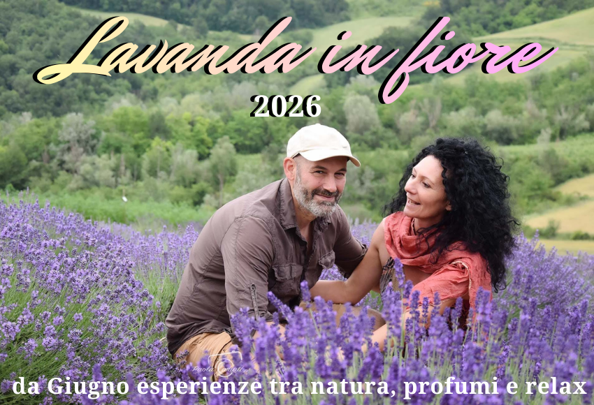 Lavanda Azienda agricola Impoggio 2026