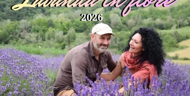LAVANDA IN FIORE 2026