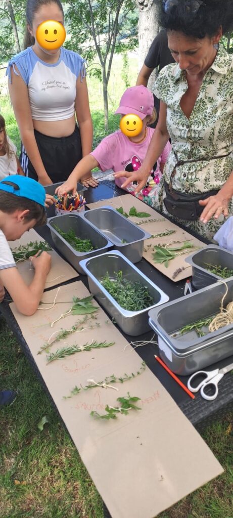 Fattoria Didattica Impoggio - Erbe aromatiche