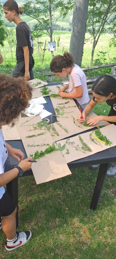 Fattoria Didattica Impoggio - Erbe aromatiche e bambini