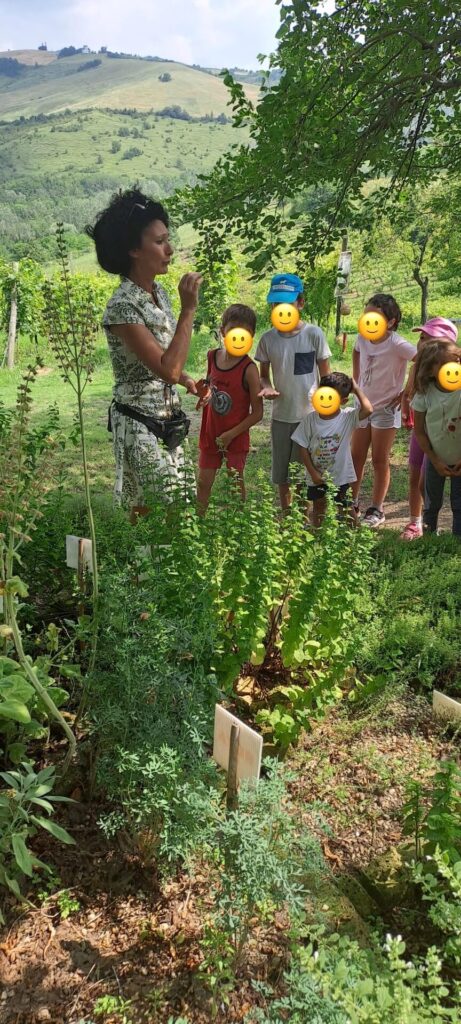 Fattoria Didattica Impoggio - Erbe aromatiche insegnamento