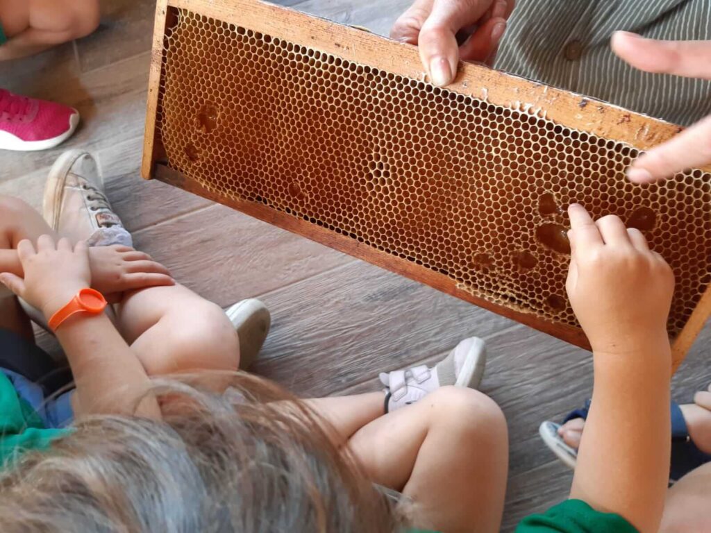 Fattoria Didattica Impoggio - Il mielario con i bambini