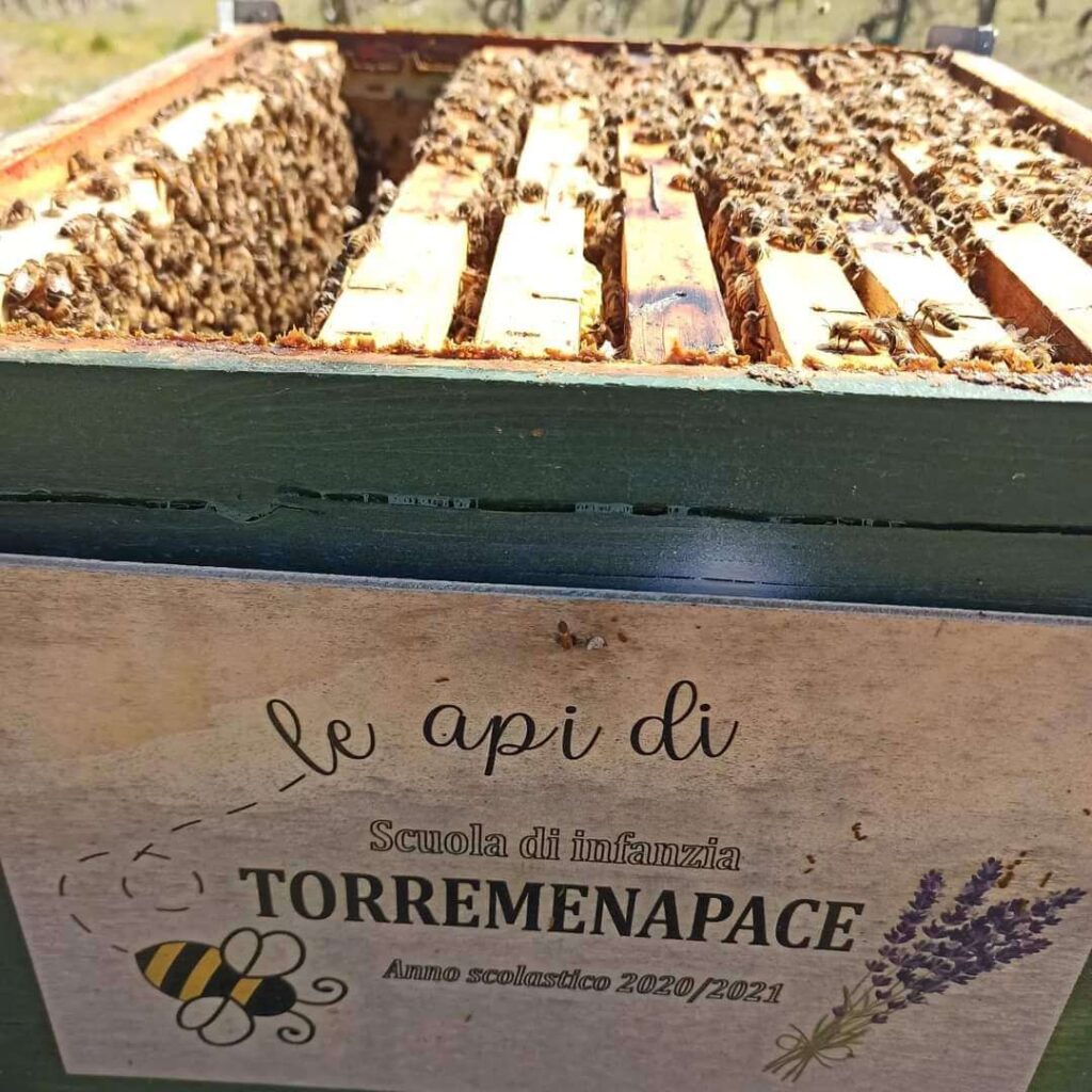 Fattoria Didattica Impoggio - Alveare