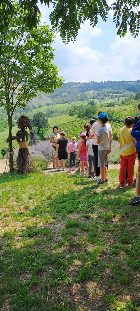 Fattoria Didattica Impoggio - Esperienza lavanda