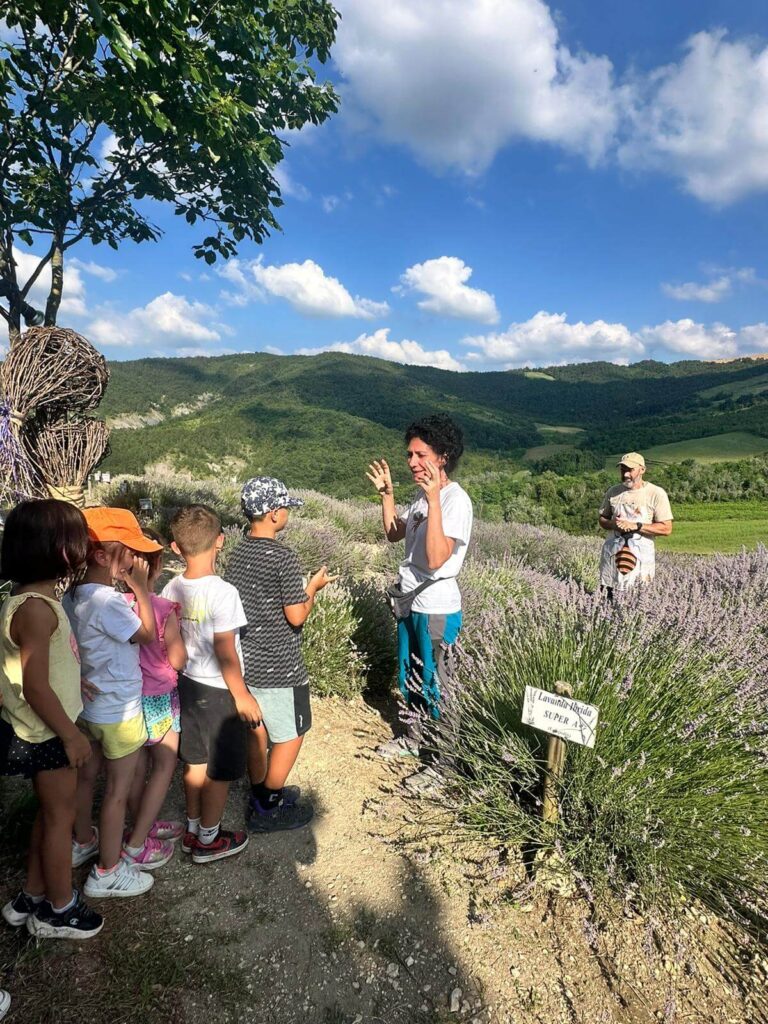 Fattoria Didattica Impoggio - Esperienza lavanda visita al lavandeto