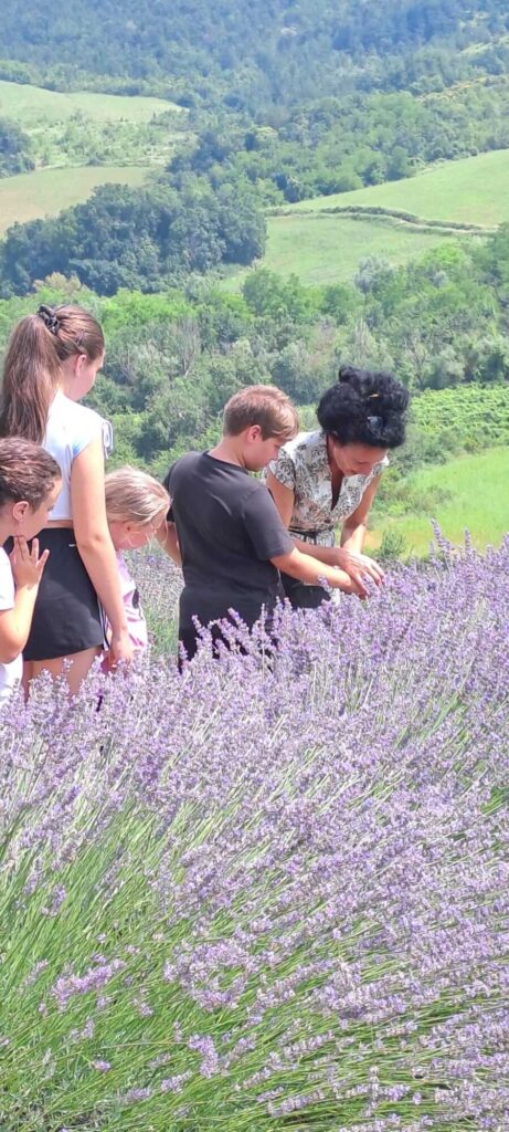 Fattoria Didattica Impoggio - Bambini in Lavandeto