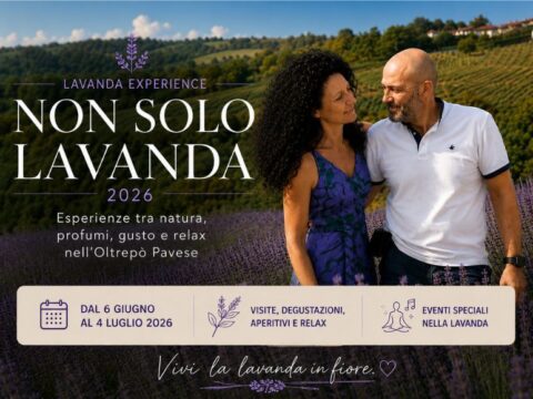 LAVANDA IN FIORE 2026