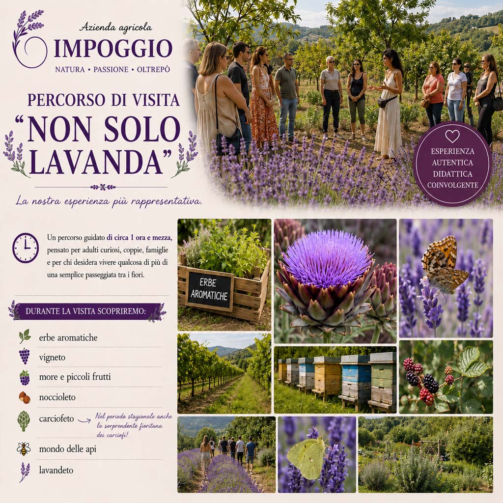 Percorso "Non solo Lavanda"2026 Impoggio
