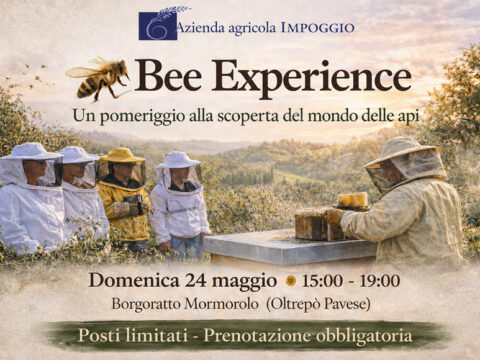 Bee Experience – Il meraviglioso mondo delle api