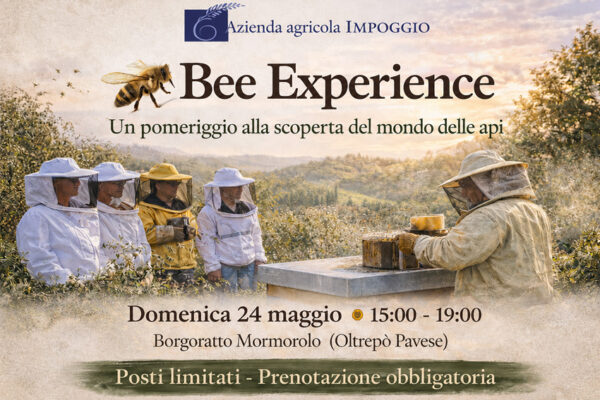 Bee experience 24 maggio 2026