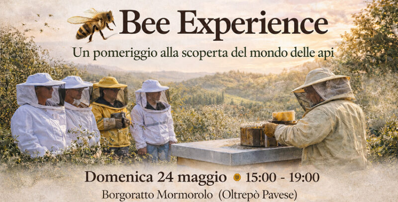 Bee Experience – Il meraviglioso mondo delle api